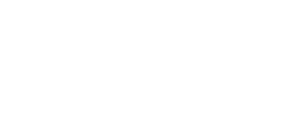 Volunteers Foundation