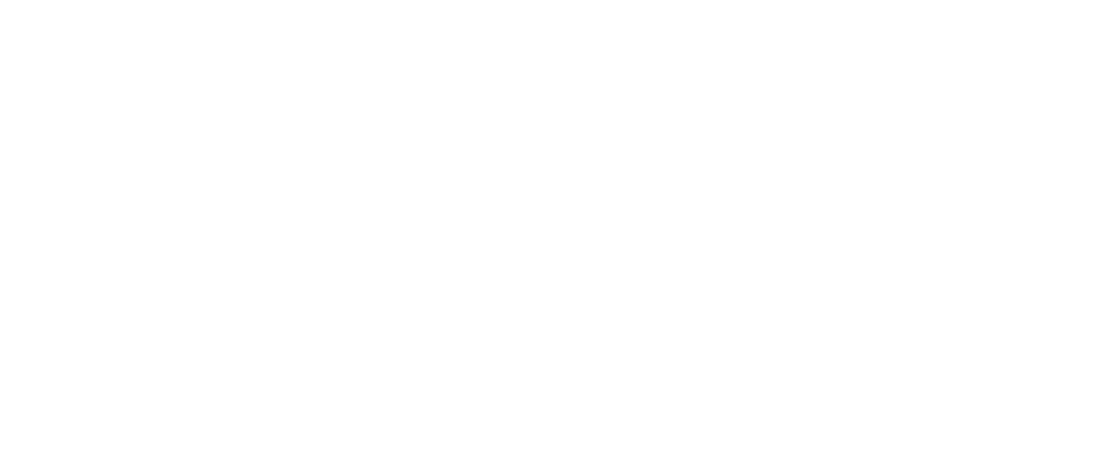 Volunteers Foundation